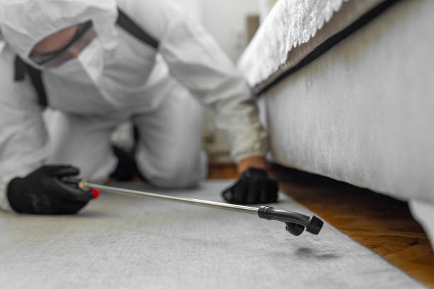 Professional Cockroach Control technician working in Gwinn, MI