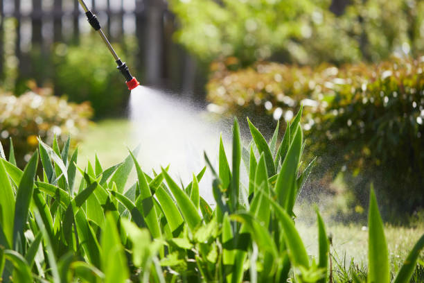 24/7 Emergency Cockroach Control experts in Gwinn, MI