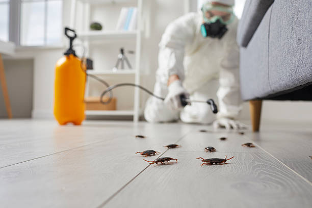 Trusted Cockroach Control service in Gwinn, MI - Nex Pest Control