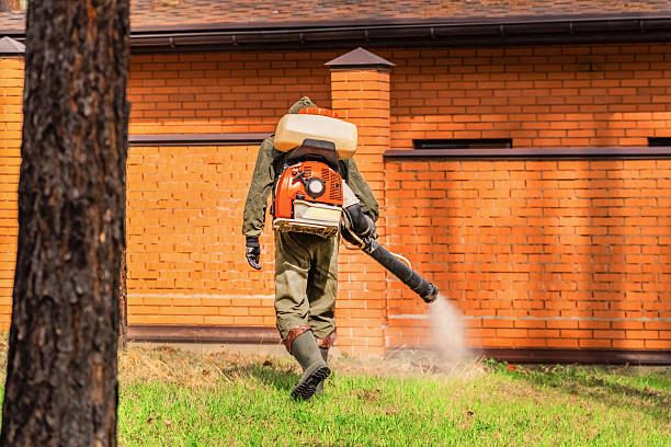 Trusted Termite Control service in Gwinn, MI - Nex Pest Control